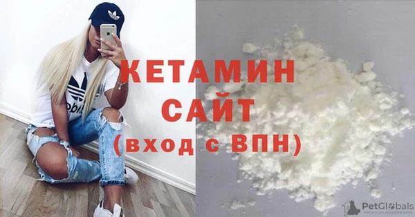 прущий лед Дмитриев
