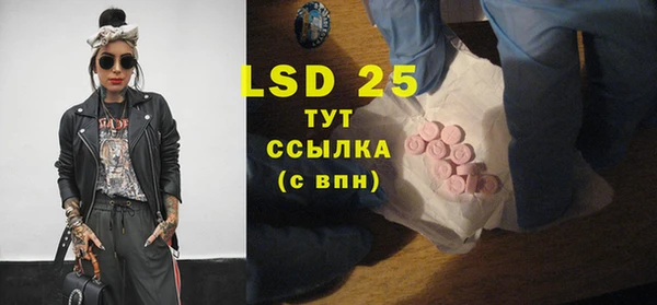 прущий лед Дмитриев