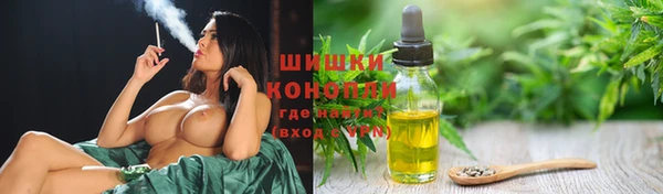 прущий лед Дмитриев