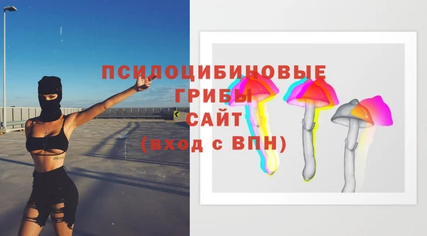 mdpv Елизово