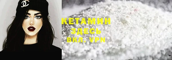 прущий лед Дмитриев