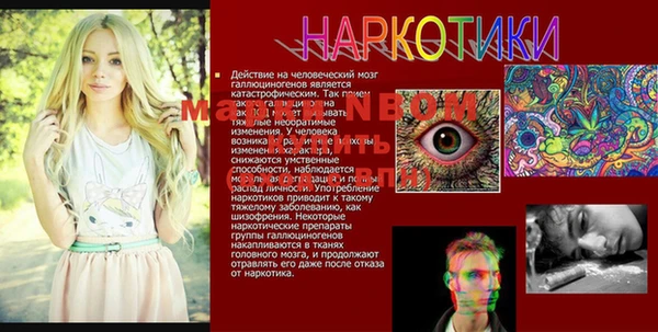 прущий лед Дмитриев