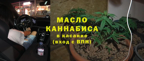 прущий лед Дмитриев