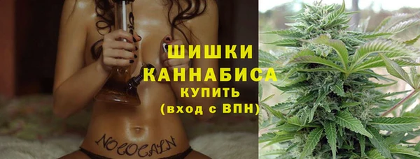 прущий лед Дмитриев